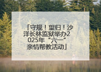 守规！望归！沙洋长林监狱举办2025年“六一”亲情帮教活动