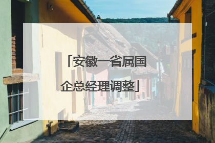 安徽一省属国企总经理调整