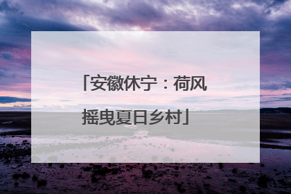安徽休宁：荷风摇曳夏日乡村