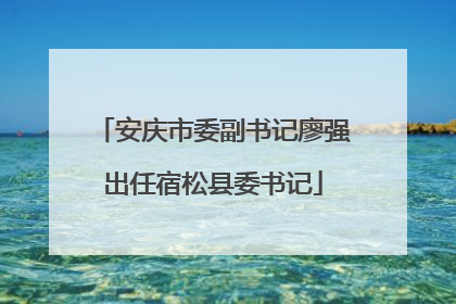 安庆市委副书记廖强出任宿松县委书记