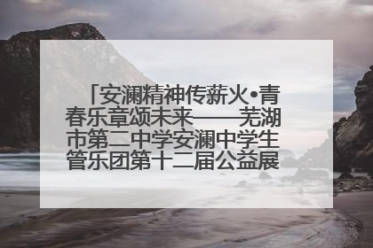 安澜精神传薪火•青春乐章颂未来——芜湖市第二中学安澜中学生管乐团第十二届公益展演圆满举行