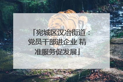 宛城区汉冶街道：党员干部进企业 精准服务促发展