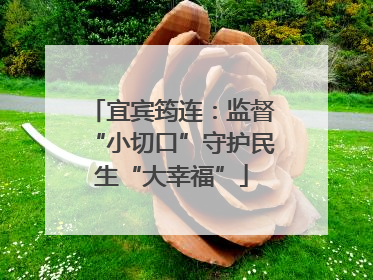 宜宾筠连：监督“小切口”守护民生“大幸福”