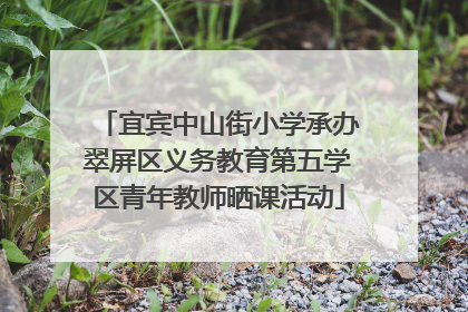 宜宾中山街小学承办翠屏区义务教育第五学区青年教师晒课活动