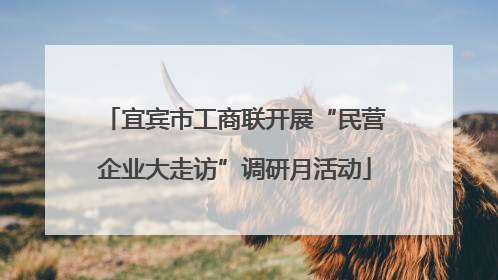 宜宾市工商联开展“民营企业大走访”调研月活动