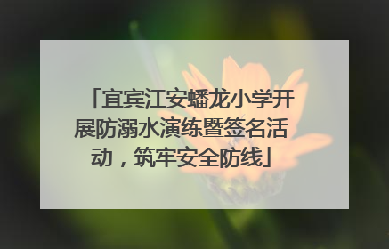 宜宾江安蟠龙小学开展防溺水演练暨签名活动，筑牢安全防线