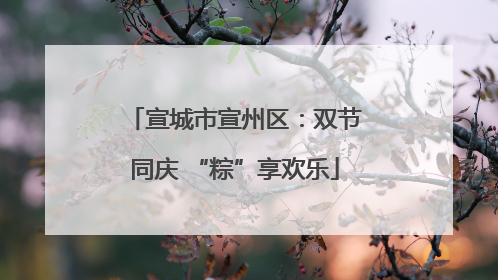 宣城市宣州区：双节同庆 “粽”享欢乐