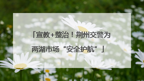 宣教+整治！荆州交警为两湖市场“安全护航”