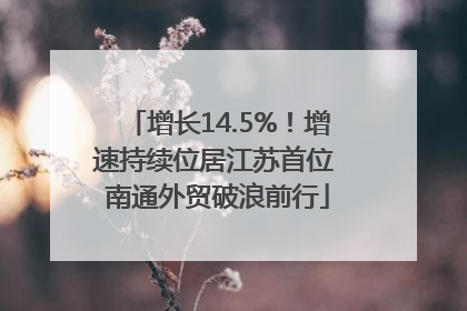 增长14.5%！增速持续位居江苏首位 南通外贸破浪前行