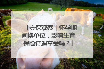 壹保观察｜怀孕期间换单位，影响生育保险待遇享受吗？