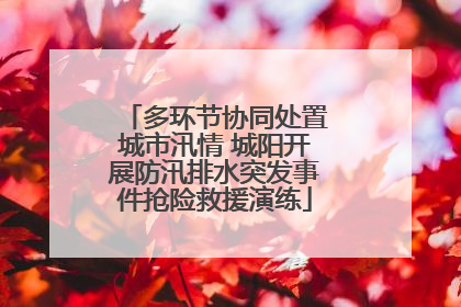 多环节协同处置城市汛情 城阳开展防汛排水突发事件抢险救援演练