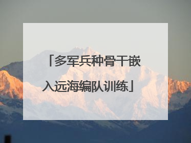 多军兵种骨干嵌入远海编队训练