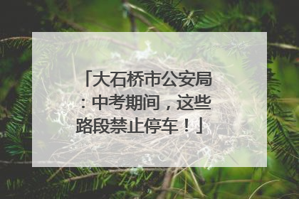 大石桥市公安局：中考期间，这些路段禁止停车！