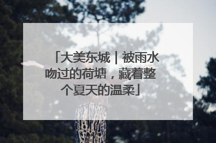 大美东城｜被雨水吻过的荷塘，藏着整个夏天的温柔