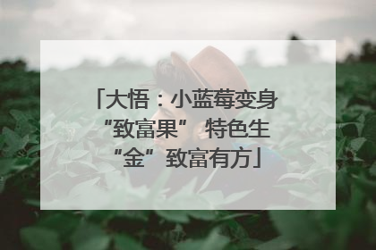大悟：小蓝莓变身“致富果” 特色生“金”致富有方