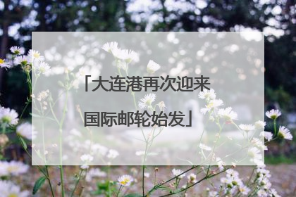 大连港再次迎来国际邮轮始发