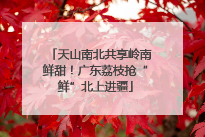 天山南北共享岭南鲜甜！广东荔枝抢“鲜”北上进疆