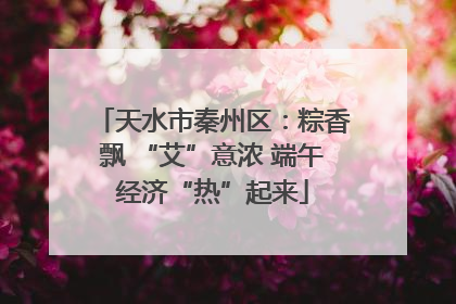 天水市秦州区：粽香飘 “艾”意浓 端午经济“热”起来
