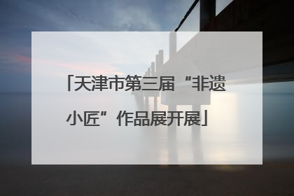 天津市第三届“非遗小匠”作品展开展