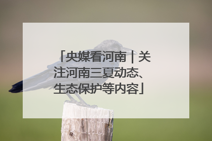 央媒看河南｜关注河南三夏动态、生态保护等内容