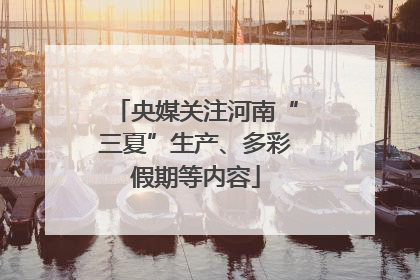 央媒关注河南“三夏”生产、多彩假期等内容
