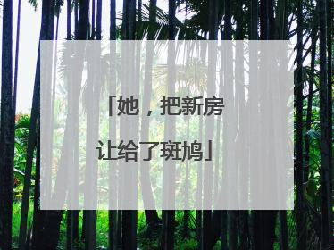 她，把新房让给了斑鸠