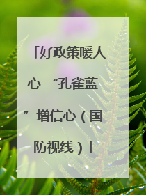 好政策暖人心 “孔雀蓝”增信心（国防视线）
