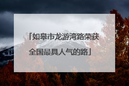如皋市龙游湾路荣获全国最具人气的路