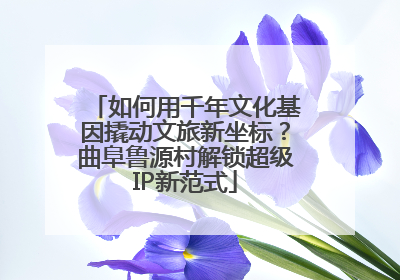 如何用千年文化基因撬动文旅新坐标？曲阜鲁源村解锁超级IP新范式