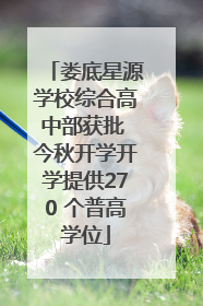娄底星源学校综合高中部获批 今秋开学开学提供270 个普高学位
