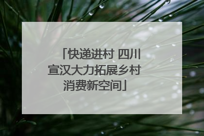 快递进村 四川宣汉大力拓展乡村消费新空间