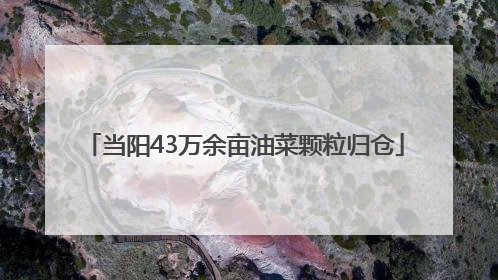当阳43万余亩油菜颗粒归仓