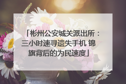 彬州公安城关派出所：三小时速寻遗失手机 锦旗背后的为民速度