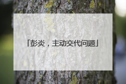 彭炎，主动交代问题