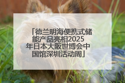 德兰明海便携式储能产品亮相2025年日本大阪世博会中国馆深圳活动周