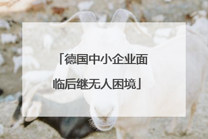 德国中小企业面临后继无人困境