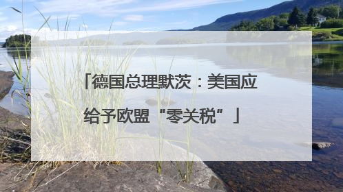 德国总理默茨：美国应给予欧盟“零关税”