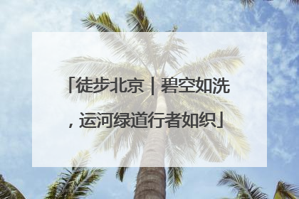 徒步北京｜碧空如洗，运河绿道行者如织