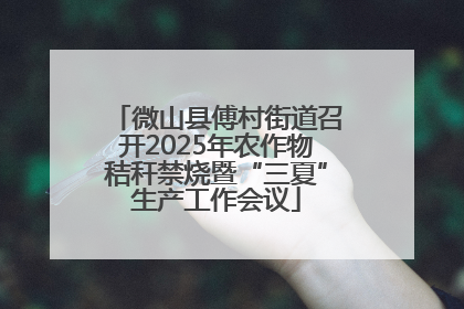 微山县傅村街道召开2025年农作物秸秆禁烧暨“三夏”生产工作会议