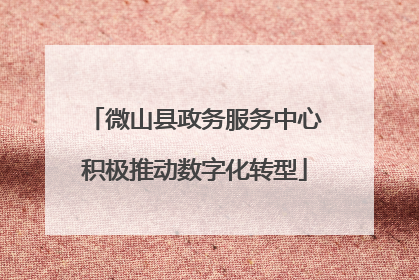 微山县政务服务中心积极推动数字化转型