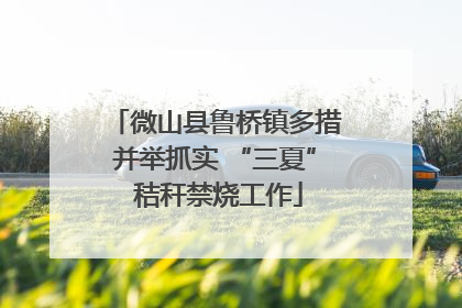 微山县鲁桥镇多措并举抓实 “三夏” 秸秆禁烧工作