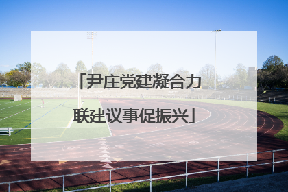尹庄党建凝合力 联建议事促振兴