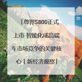 尊界S800正式上市 智能化成高端车市场竞争的关键核心丨新经济观察