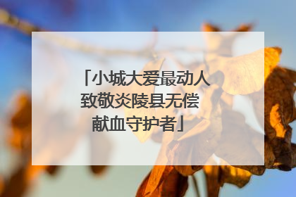小城大爱最动人 致敬炎陵县无偿献血守护者