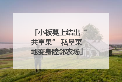 小板凳上结出“共享果” 私垦菜地变身睦邻农场