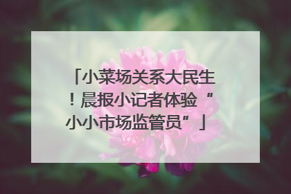 小菜场关系大民生！晨报小记者体验“小小市场监管员”