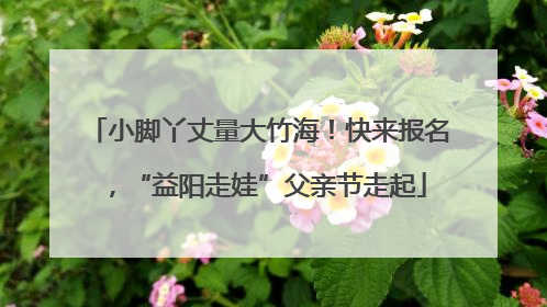 小脚丫丈量大竹海！快来报名，“益阳走娃”父亲节走起