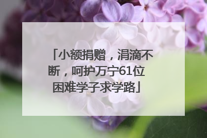 小额捐赠，涓滴不断，呵护万宁61位困难学子求学路