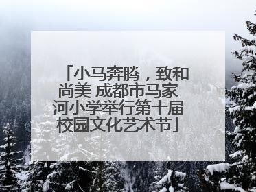 小马奔腾，致和尚美 成都市马家河小学举行第十届校园文化艺术节