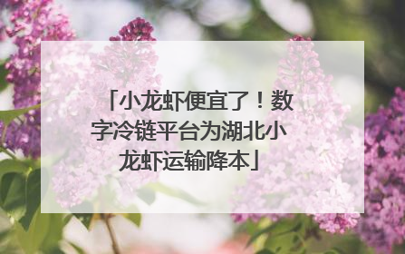 小龙虾便宜了！数字冷链平台为湖北小龙虾运输降本